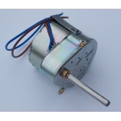 Spare Pace Clock Motor  240v